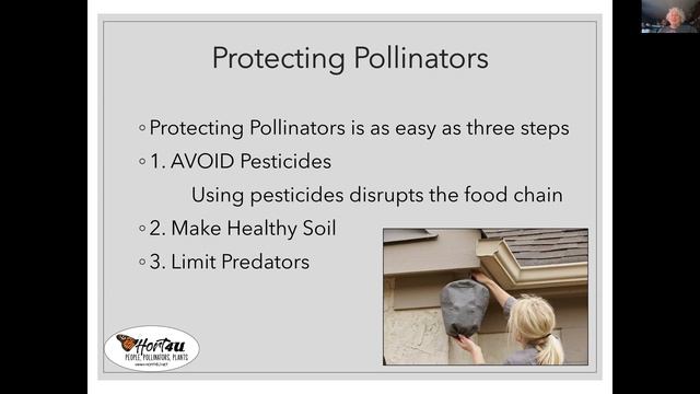 IUN Community Garden: Pollinator Gardening for Small Spaces - 2023 смотреть онлайн
