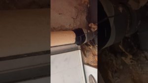 Устраняем протечку на стыке канализационных труб.