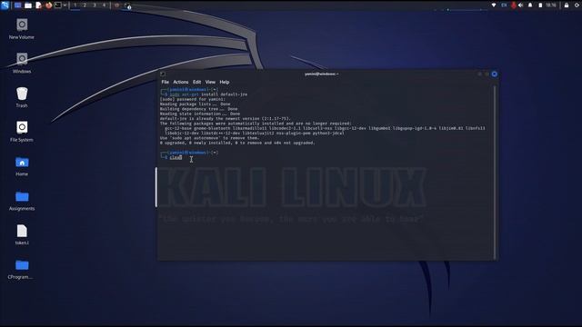 How to run Java in Kali Linux | Installing JDK in Linux | Run Java from command смотреть онлайн