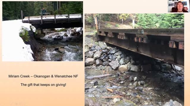 Modular and Portable Bridges: Cost-effective Tools in the Bridge Program Toolbox смотреть онлайн