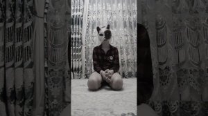 ЧТО МОЖНО ПОДЕЛАТЬ КВАДРОБЕРУ НТЕРИАНТРОПУ ДОМА . 8 вариантов .Всё подробно !#квадробика #туториал