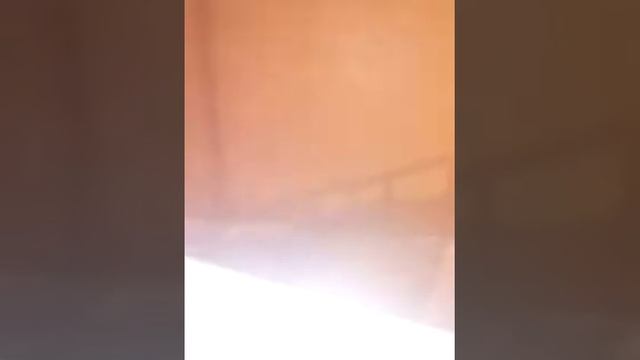 Пранк над Алесей поёт в душе смотреть онлайн