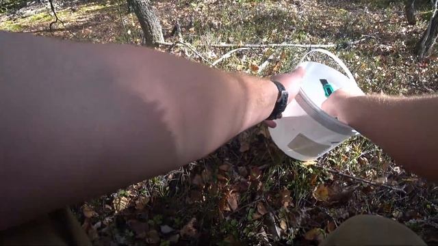 РЫБАЛКА. СБОР ГРИБОВ И 100 РУБЛЕЙ В ПОДАРОК ВАМ. Беларусь смотреть онлайн