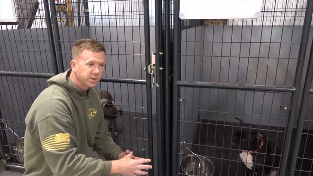 Pitbull Kenneling and Boarding - How To Do It Safely смотреть онлайн
