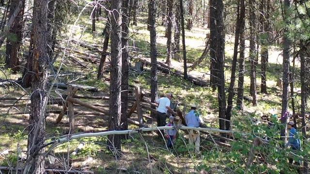 Coos County - onX Public Access Project смотреть онлайн