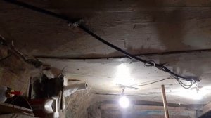 Коза перехаживает,норма или нет