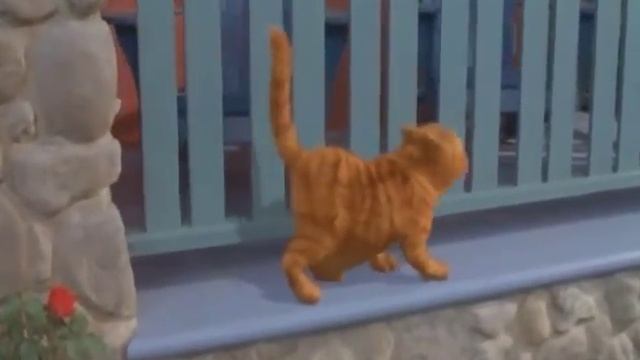 Эй, толстый-Гарфилд смотреть онлайн