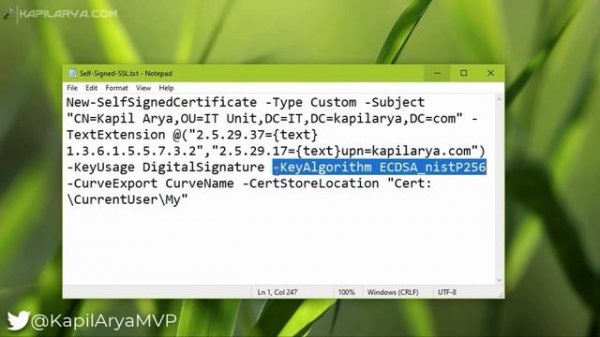 Install self-signed SSL certificate in Windows 10
