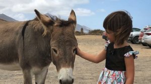 Видеоблог о жизни на парусном катамаране Мана Мана. Часть 1.