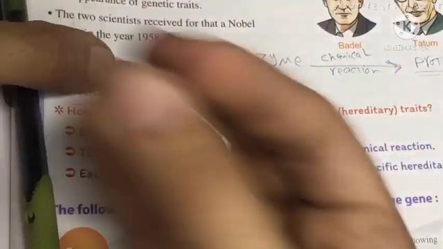 شرح درس main principles of heredity|part3|ساينس تالته إعدادي ترم تاني смотреть онлайн