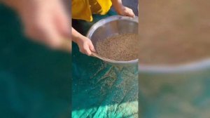 Дагестанская кухня. Лезгины Секреты приготовления тIач-Лезгинский национальный напиток