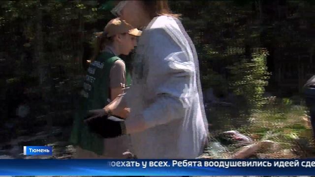 Плехановский бор в Тюмени очистили от мусора смотреть онлайн