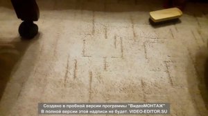 Химчистка ковролина средством для химчистки Браво