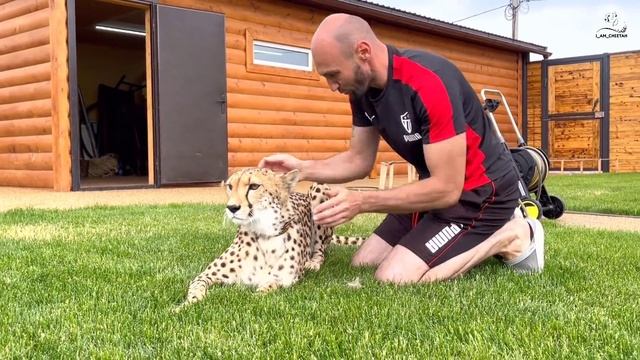 Как Герда с Сашей мыли вольер смотреть онлайн