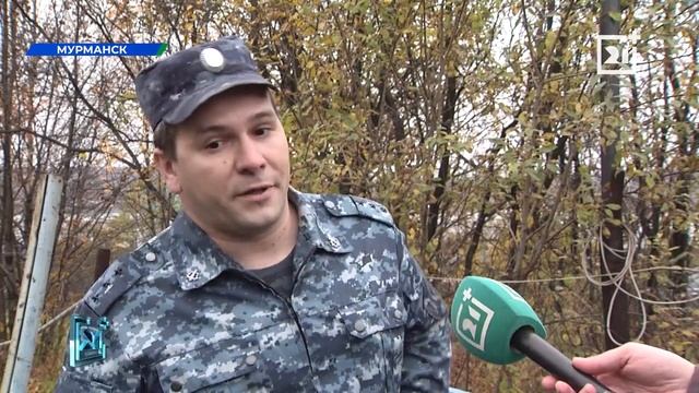 Кинологи рассказали северянам о своей работе смотреть онлайн