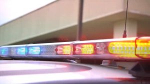 Сирена | Полиция | Police | LSPD | 2021 | Звук полицейской сирены