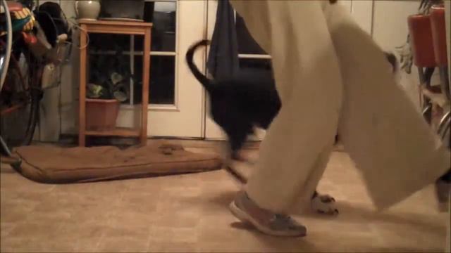 Heel Practice смотреть онлайн