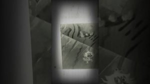 Чучело мяучело с эфектом « негатив»