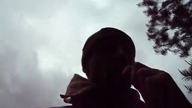 Лесная аптека смотреть онлайн