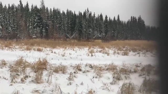 Episode 2: Checking Traps || Trapper Chum смотреть онлайн