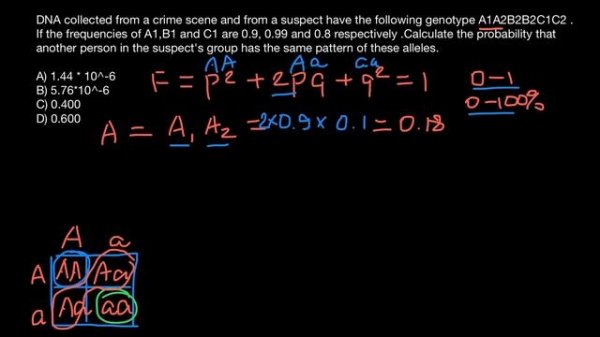 Forensic genetics, Population genetics and Paternity testing explained