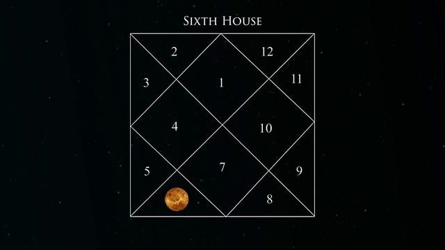 Venus Retrograde in different Houses #astrology #vedicastrology #birthchart #indianastrology смотреть онлайн
