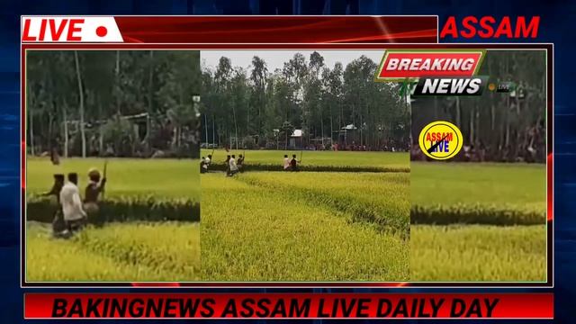 news Assam media 8 смотреть онлайн