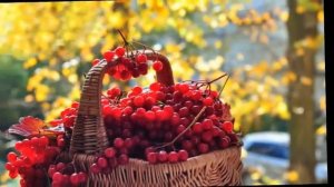 Калина Красная, Калина Вызрела - Русская Народная Песня