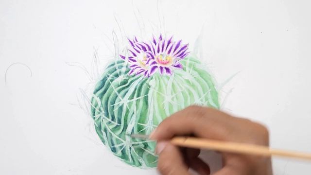 How to paint Stenocactus Step by Step смотреть онлайн