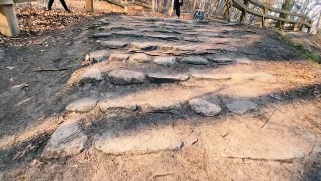 Klif Orłowski ( Gdynia Orłowo) - одна из локаций живописных мест в Польше ! смотреть онлайн