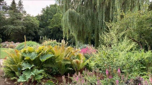 Ботанический сад/Botanischer Garten Hof