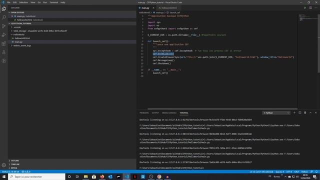 Première application CEF Python смотреть онлайн