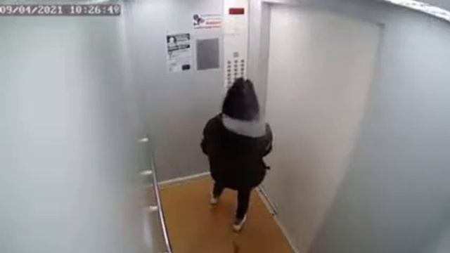 Эта тварь гадит в лифтах. Маме её привет. смотреть онлайн