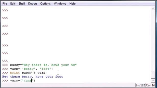 Day 17 Strings n Stuff Python Programming смотреть онлайн