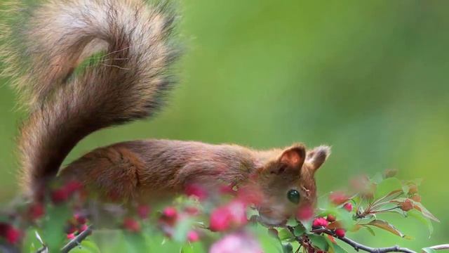 Это Безумно Красивая РОМАНТИЧЕСКАЯ Мелодия Трогающая до глубины ДУШИ ! Сергей Грищук смотреть онлайн