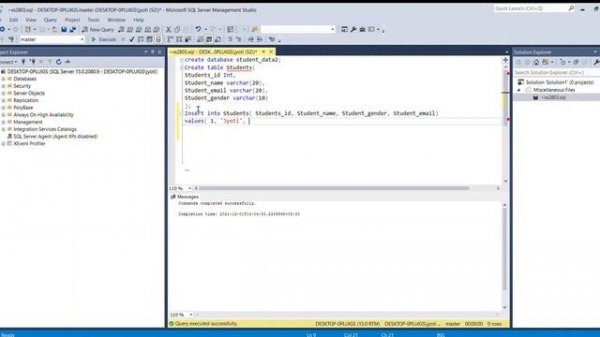 Insert Data Into Table--Microsoft SQL Server Management Studio