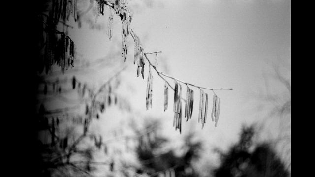 Black and White Photography - 1973 Zenit-B SLR and Helios-44 2/58 смотреть онлайн