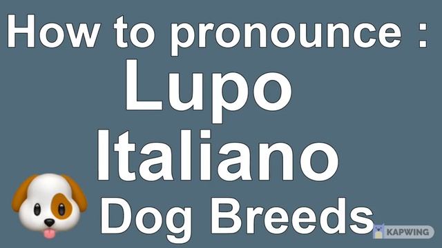 How To Pronounce Lupo Italiano (Dog Breed) смотреть онлайн