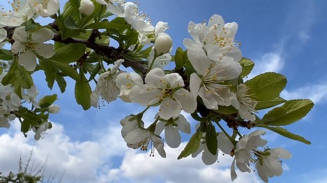 Дни СИЛЫ в МАЕ 2022. Самые благоприятные дни месяца. смотреть онлайн