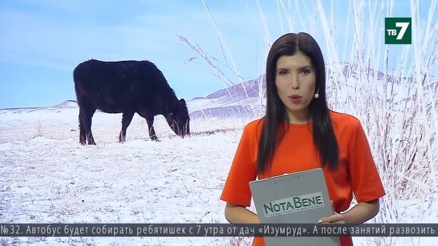 NotaBene 25.01.2024 смотреть онлайн