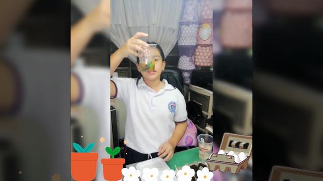 Amigos de los arboles 4 1 Maria Fernanda Montoya Perea Grado смотреть онлайн