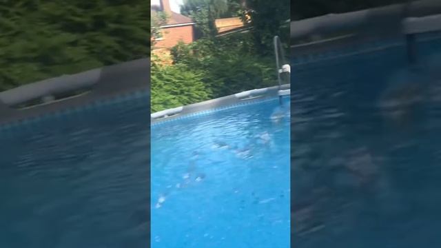 Intex Sun canopy for Intex, Bestway & Coleman frame swimming pool #intexpool #bestwaypool #intex смотреть онлайн