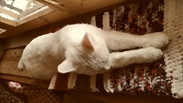 Сон белого кота #Twilightmusicproject #music #ambient #waldorfblofeld смотреть онлайн