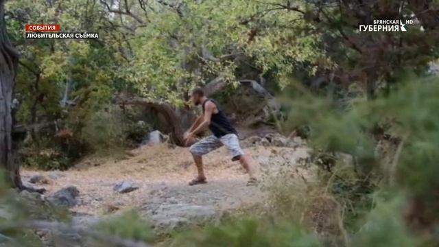 Как в самоизоляции заниматься с тренером он-лайн? смотреть онлайн