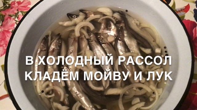 ?672? Вот захотелось посолить рыбку мойву ?Что получилось смотреть онлайн
