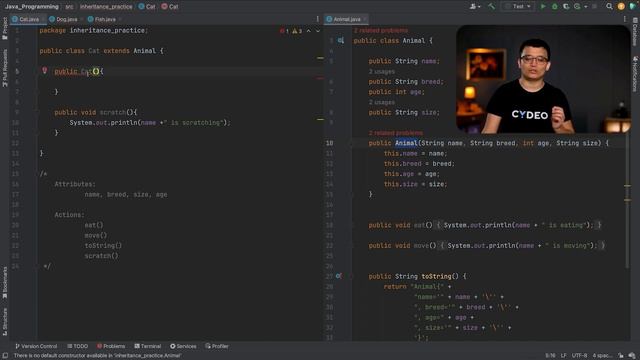 Mastering Java Coding Skills | OOP Inheritance Part 2 смотреть онлайн