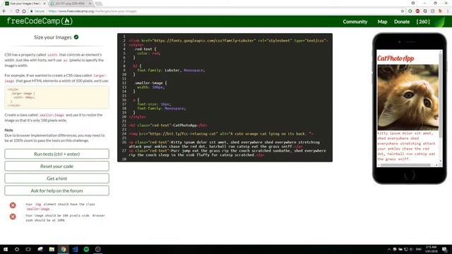 FreeCodeCamp Tutorial + Answers #17: Size Your Images - HTML/CSS смотреть онлайн