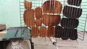 Квас на берёзовом соке, зажариваем чёрный хлеб