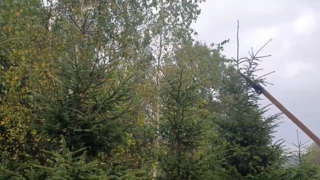 Лайфхак как опилить высокие деревья. смотреть онлайн