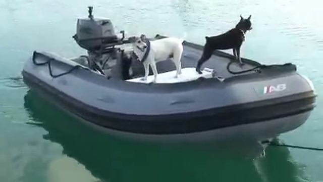 Pirates of the Exumas смотреть онлайн